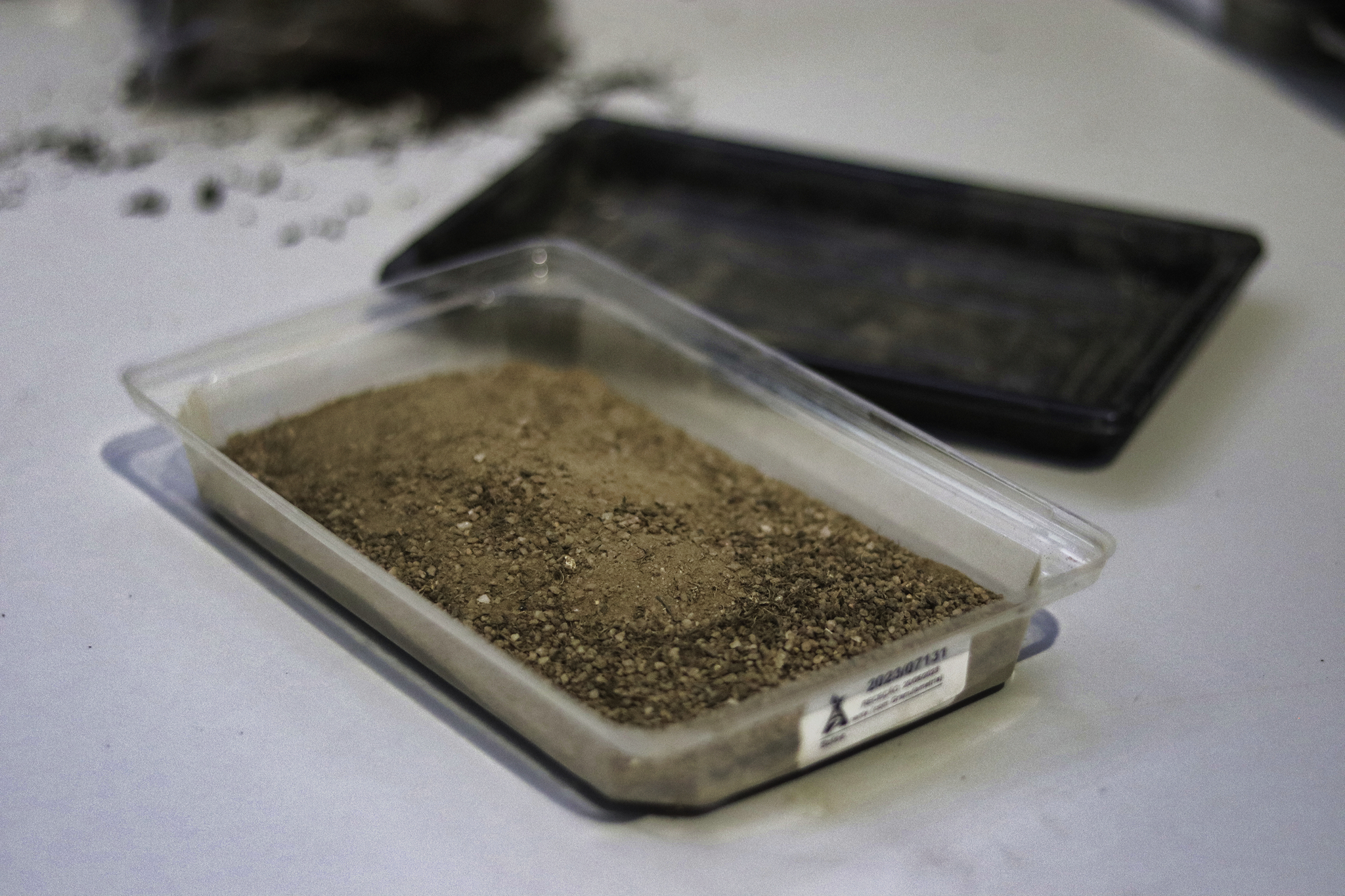 análise em laboratório de amostra de solo agrícola